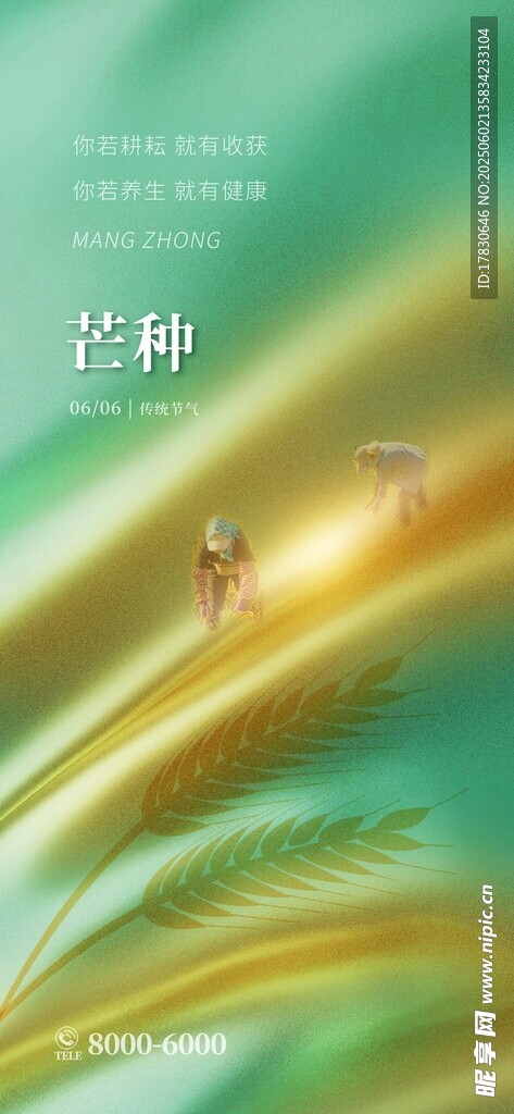 芒种海报