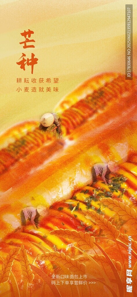 芒种海报
