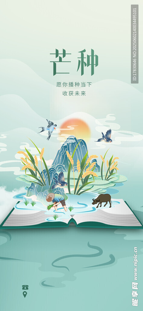 芒种海报