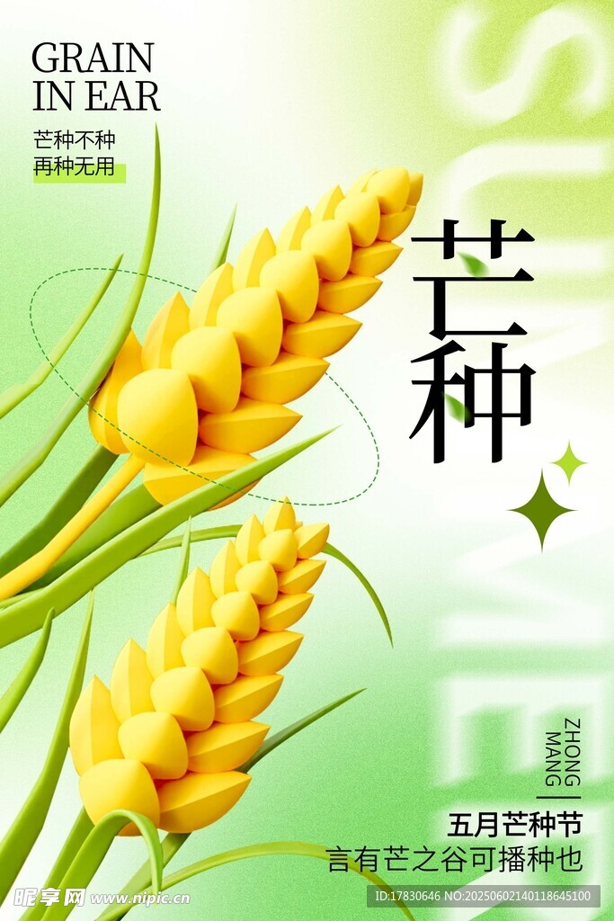 芒种海报