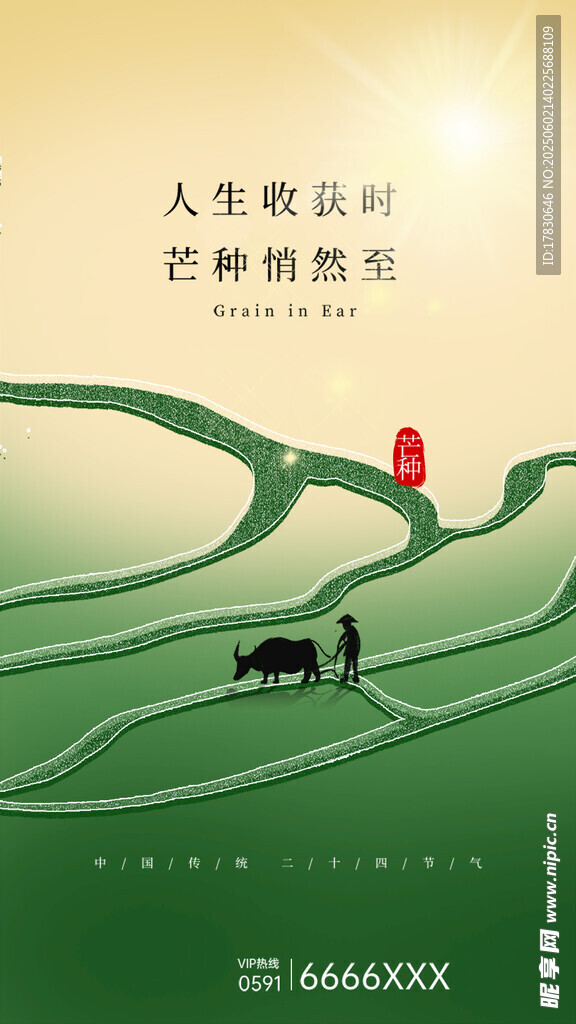 芒种海报