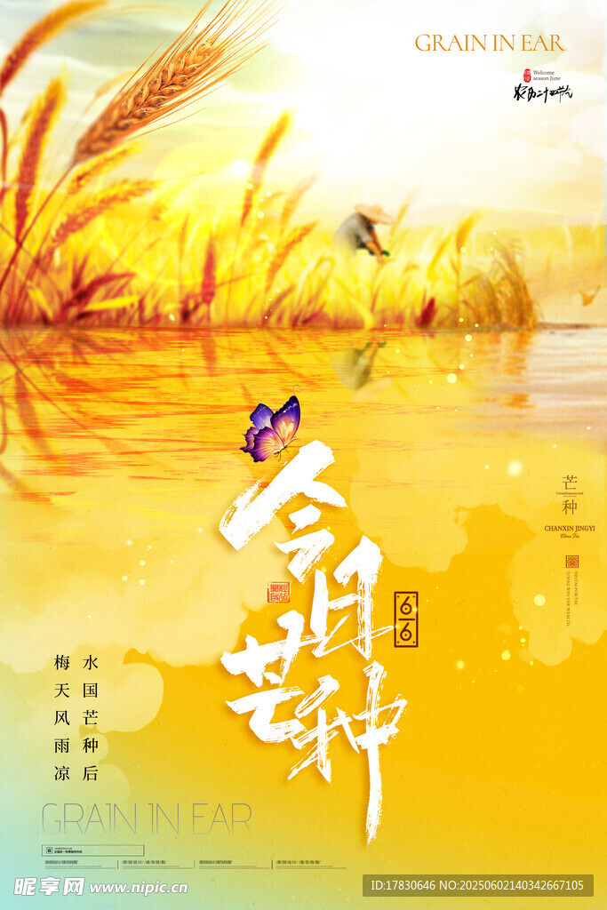 芒种海报