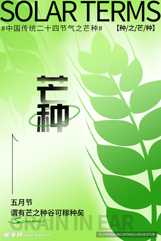 芒种海报