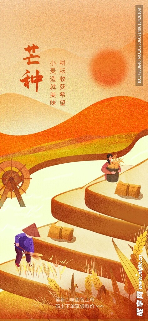 芒种海报