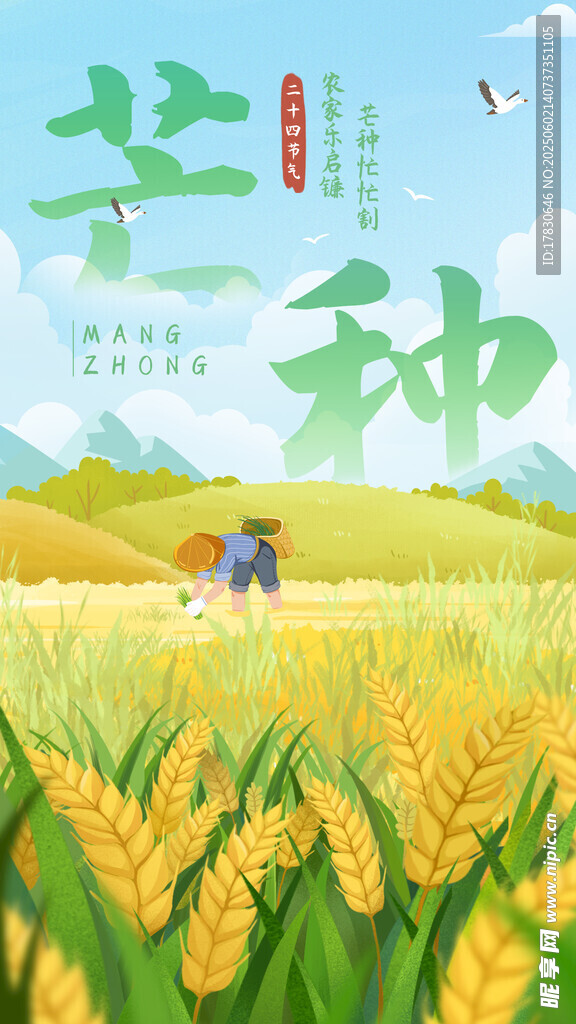 芒种海报