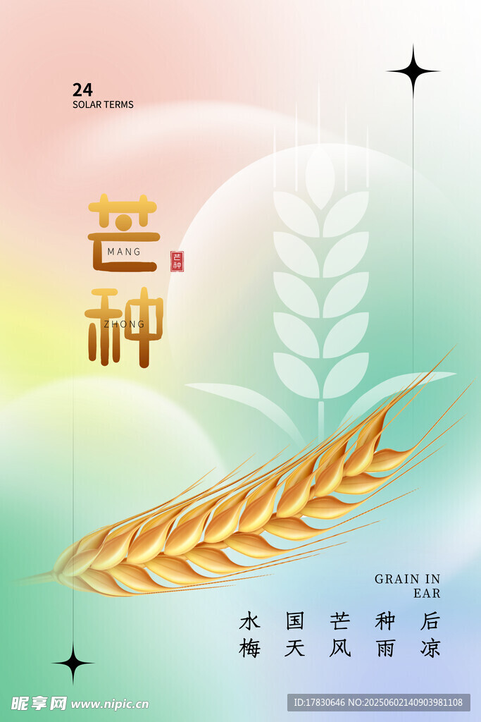 芒种海报