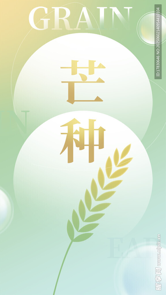芒种海报