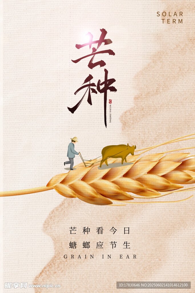 芒种海报