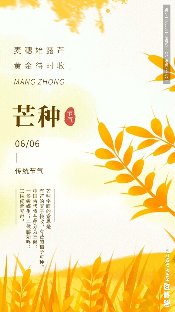 芒种海报