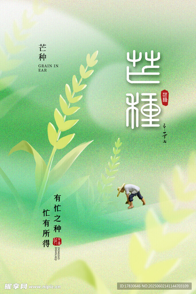 芒种海报