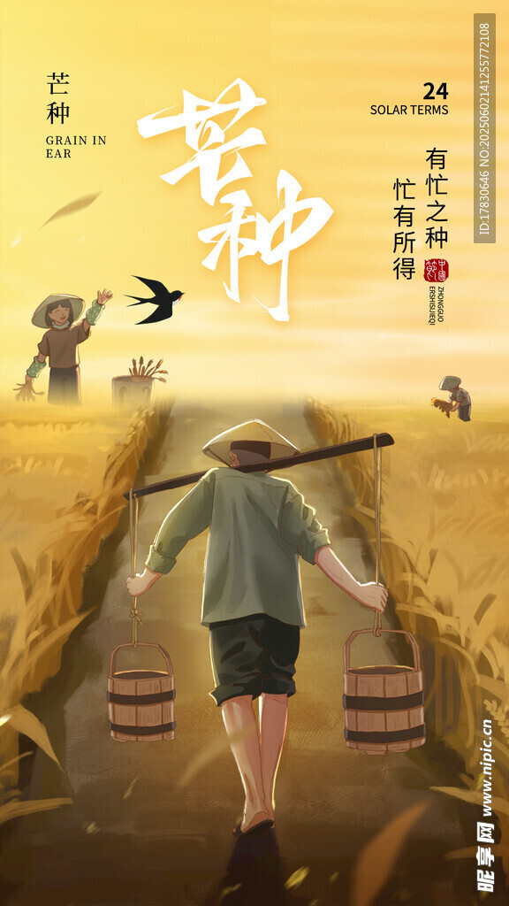 芒种海报