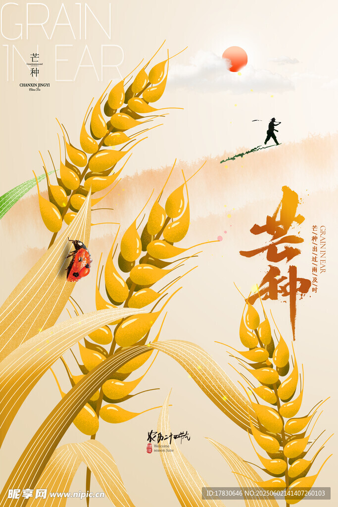 芒种海报