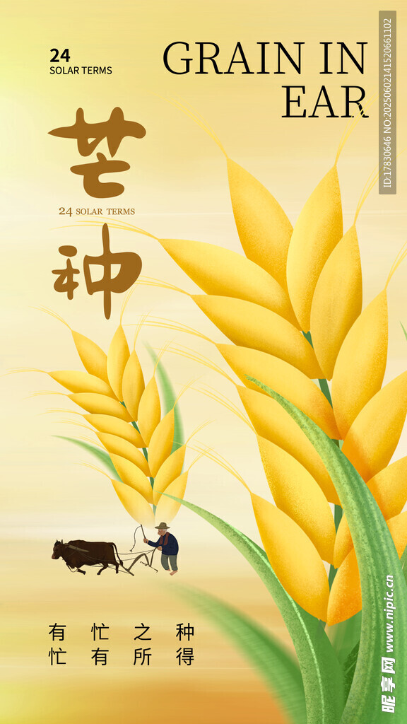 芒种海报