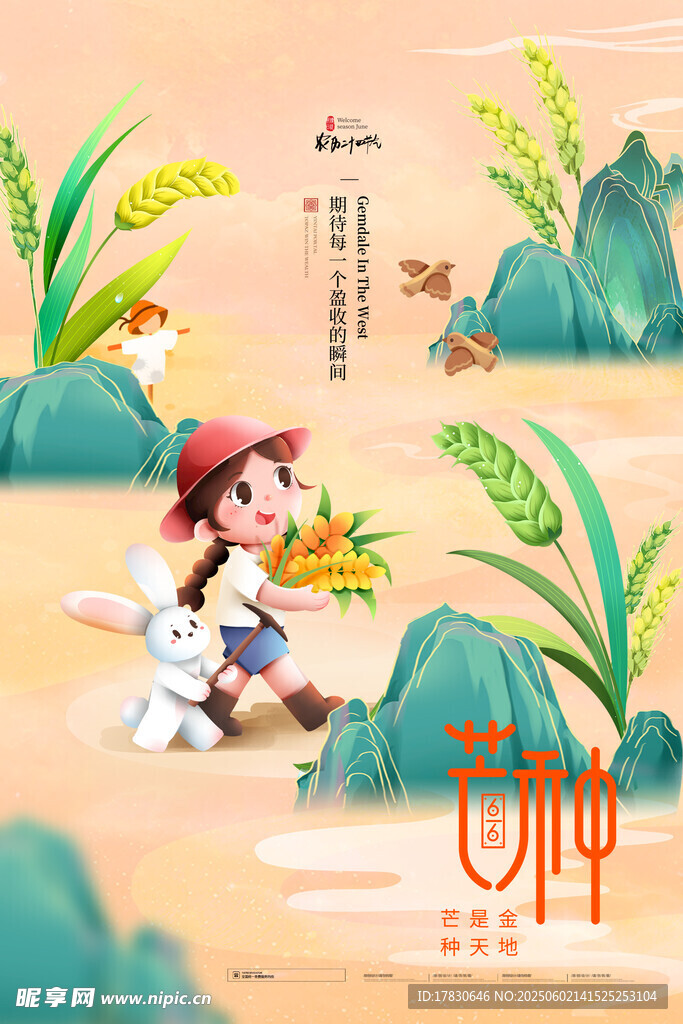 芒种海报
