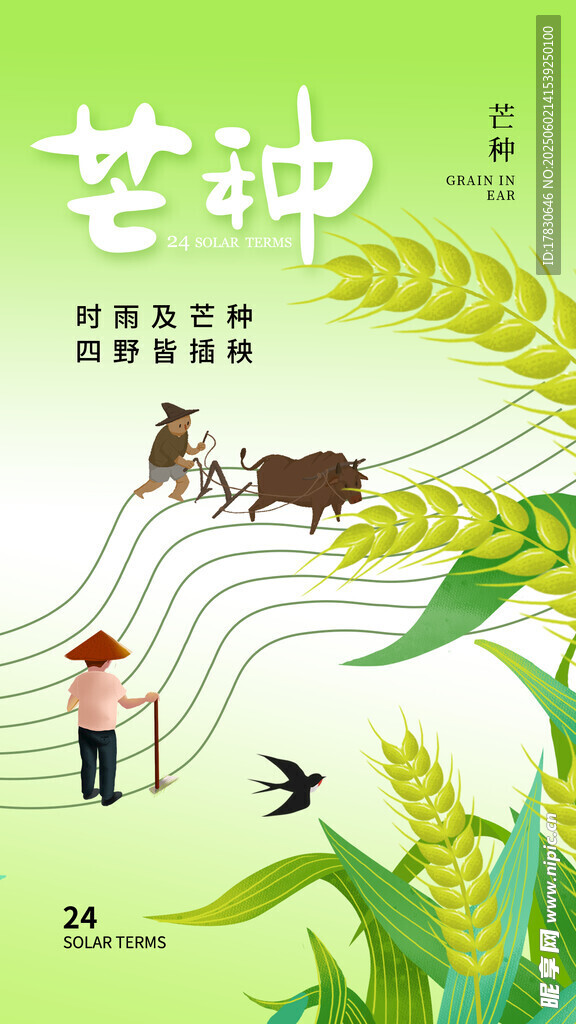芒种海报