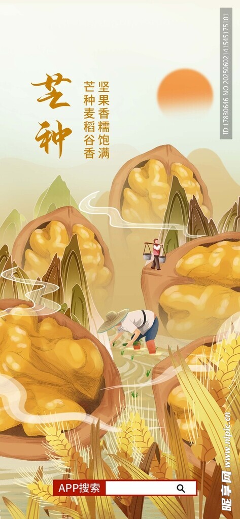 芒种海报