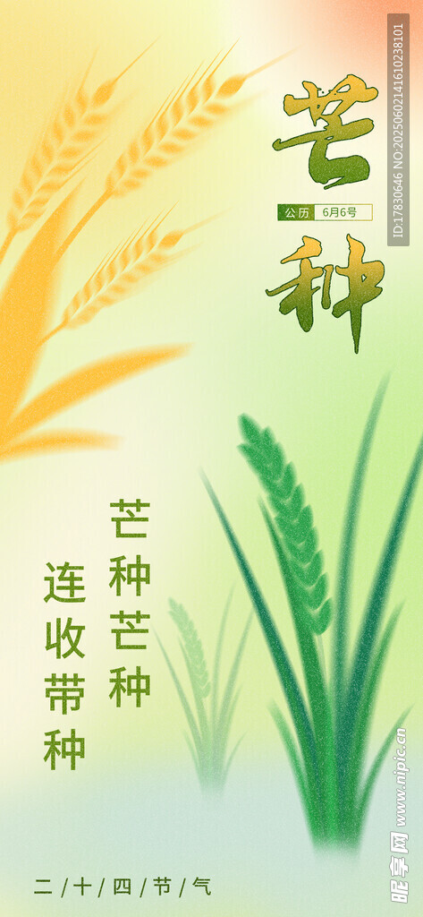 芒种海报