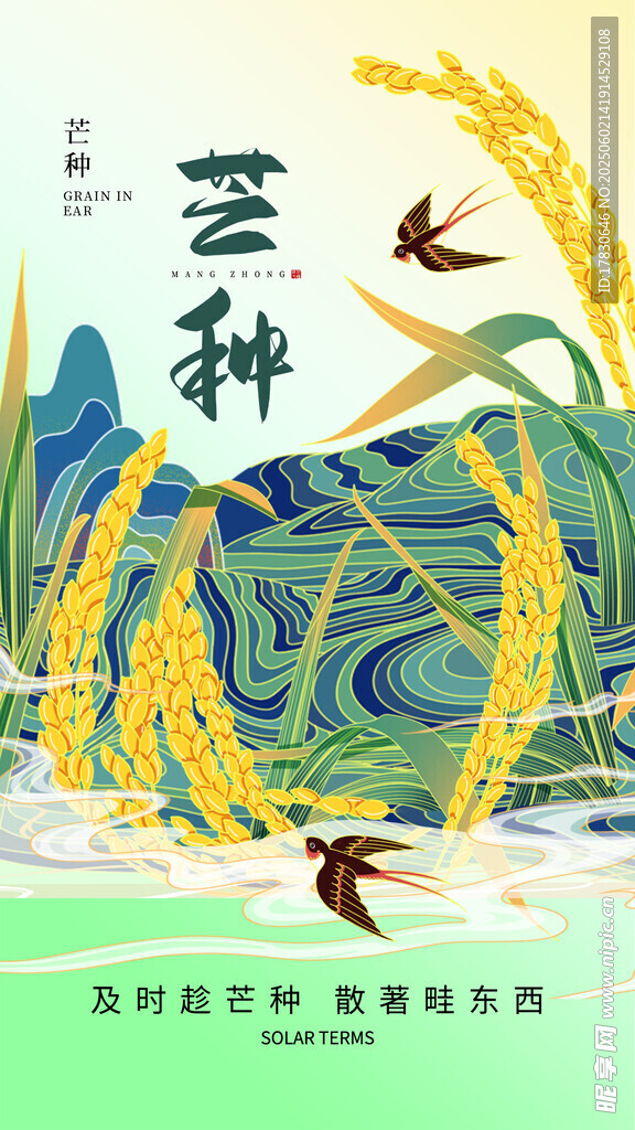 芒种海报