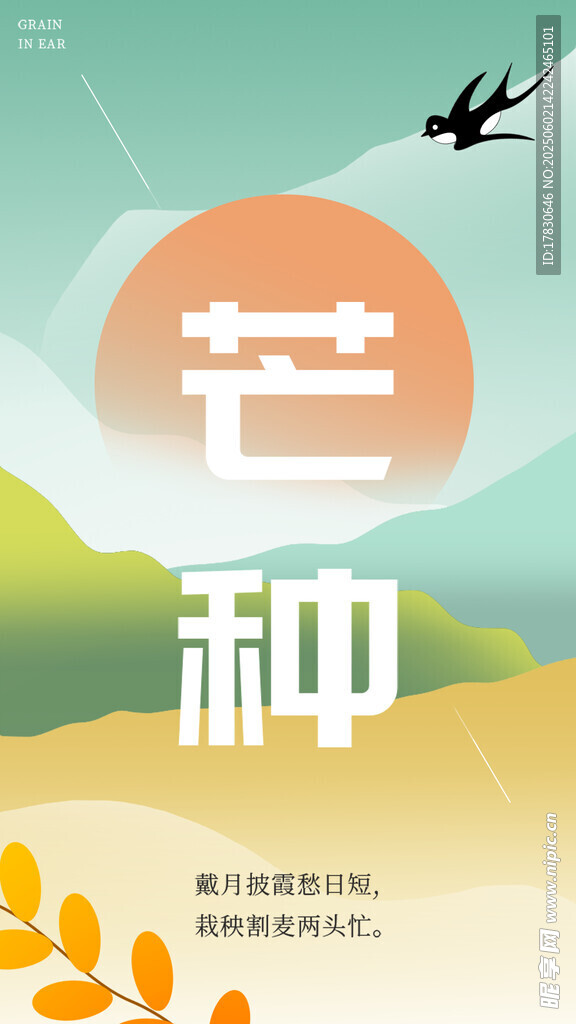 芒种海报