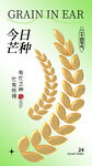 芒种海报