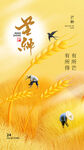 芒种海报