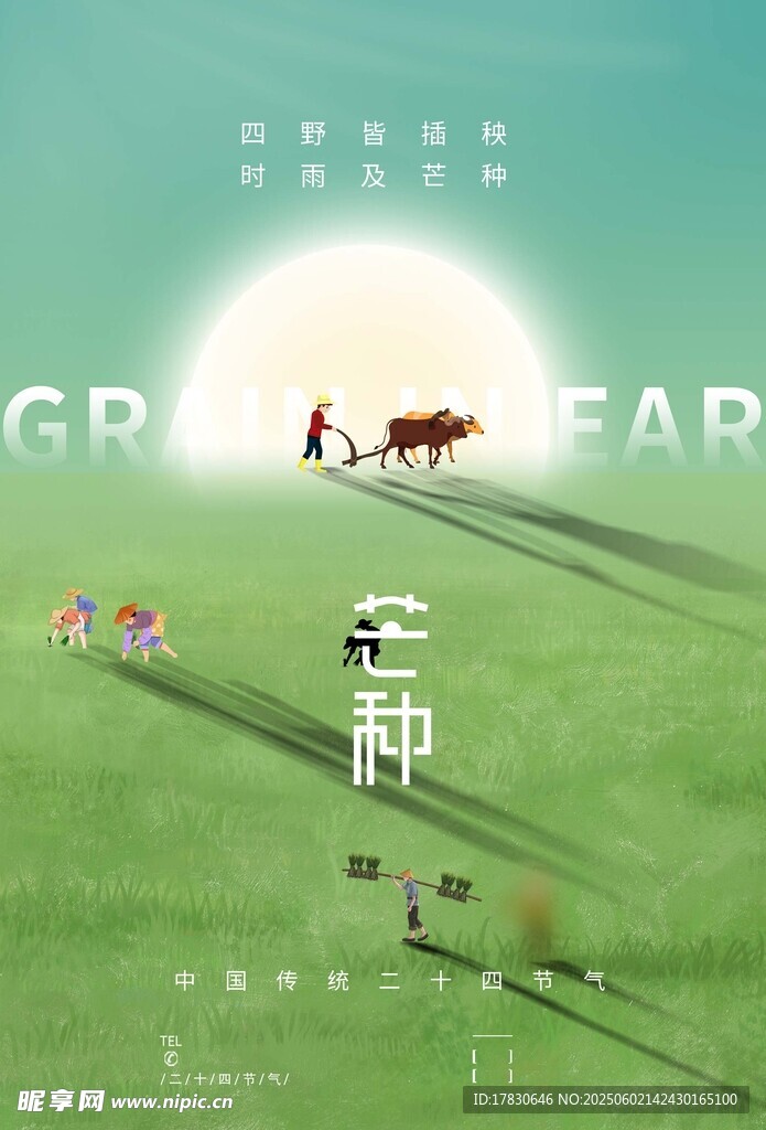 芒种海报