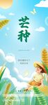 芒种海报