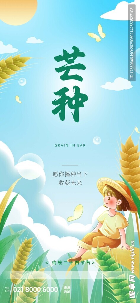 芒种海报