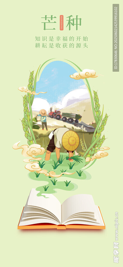 芒种海报