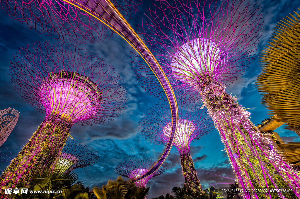新加坡超级树灯光秀夜景