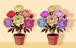 盆栽花卉插图