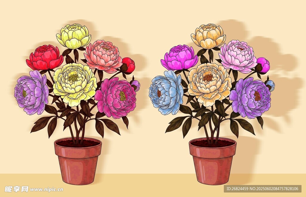 盆栽花卉插图