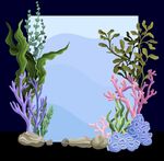 海底珊瑚植物景观插画