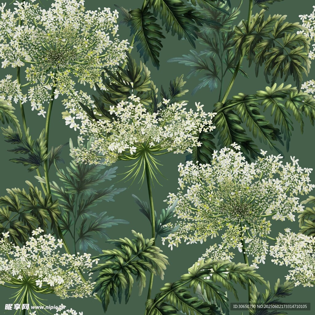 白色花朵背景