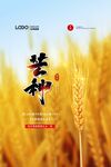 二十四个节气芒种传统节日海报