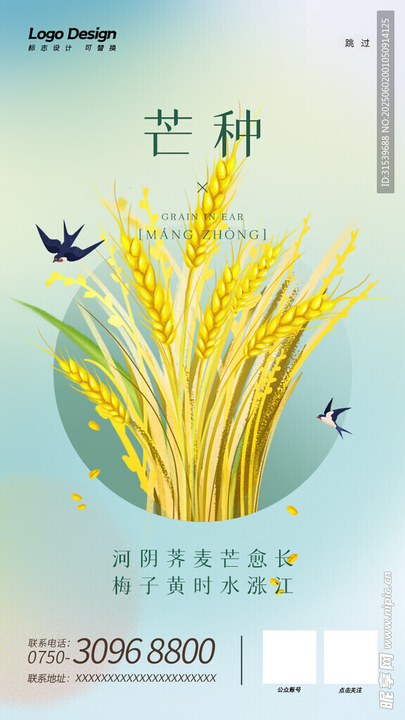 二十四节气芒种H5海报启动