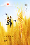 简约大气黄金麦子芒种节气海报