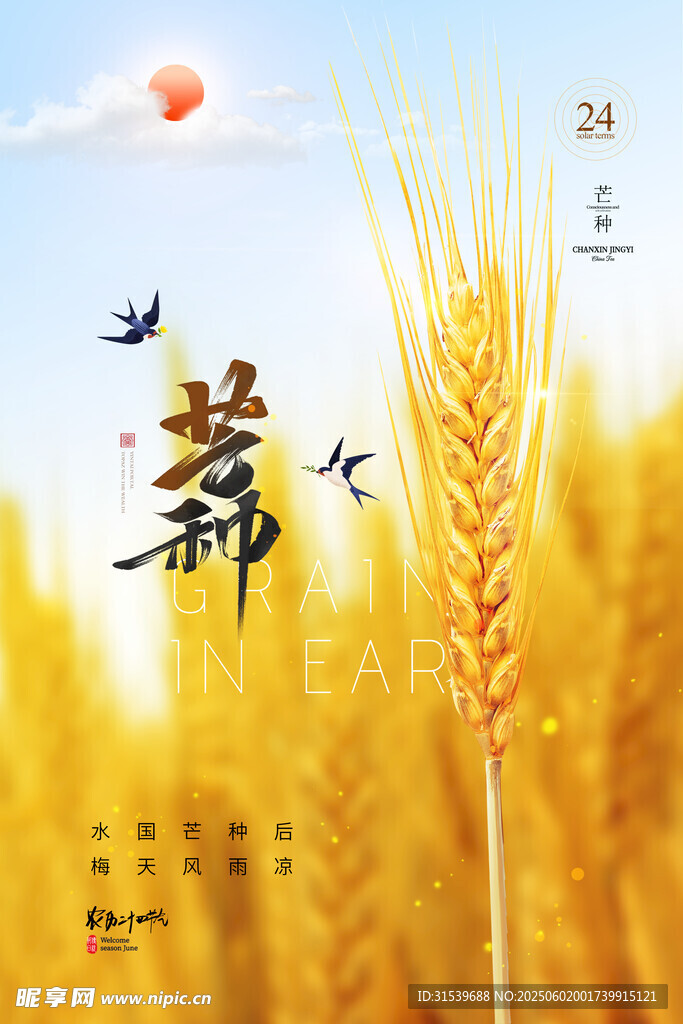 简约大气黄金麦子芒种节气海报