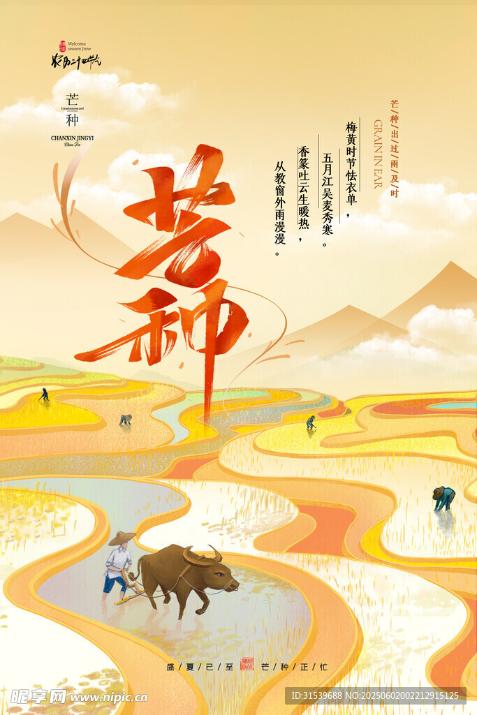 简约大气唯美芒种节气海报