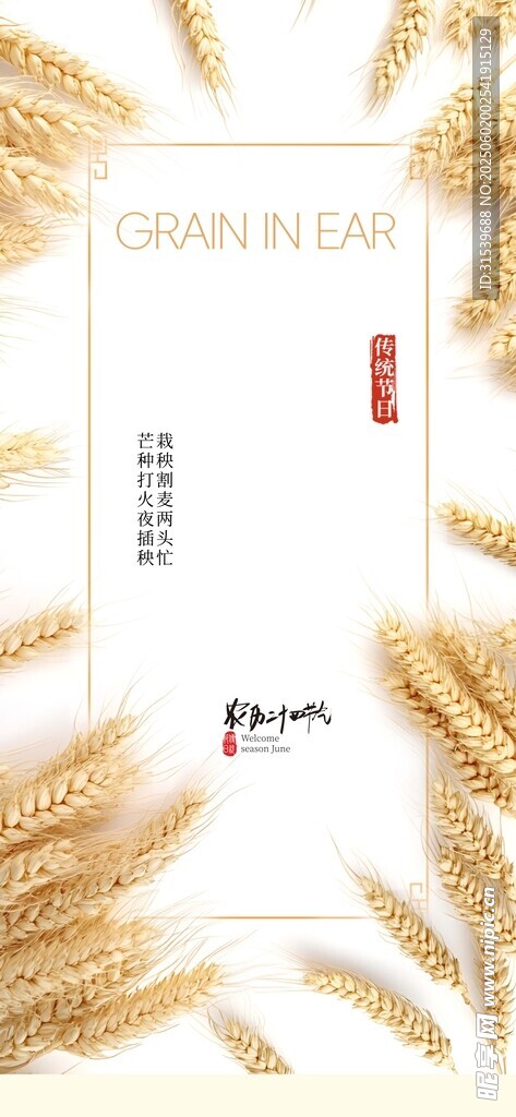 简约芒种二十四节气麦穗海报