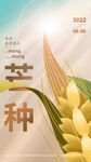 简约芒种弥散光毛玻璃节气麦穗海