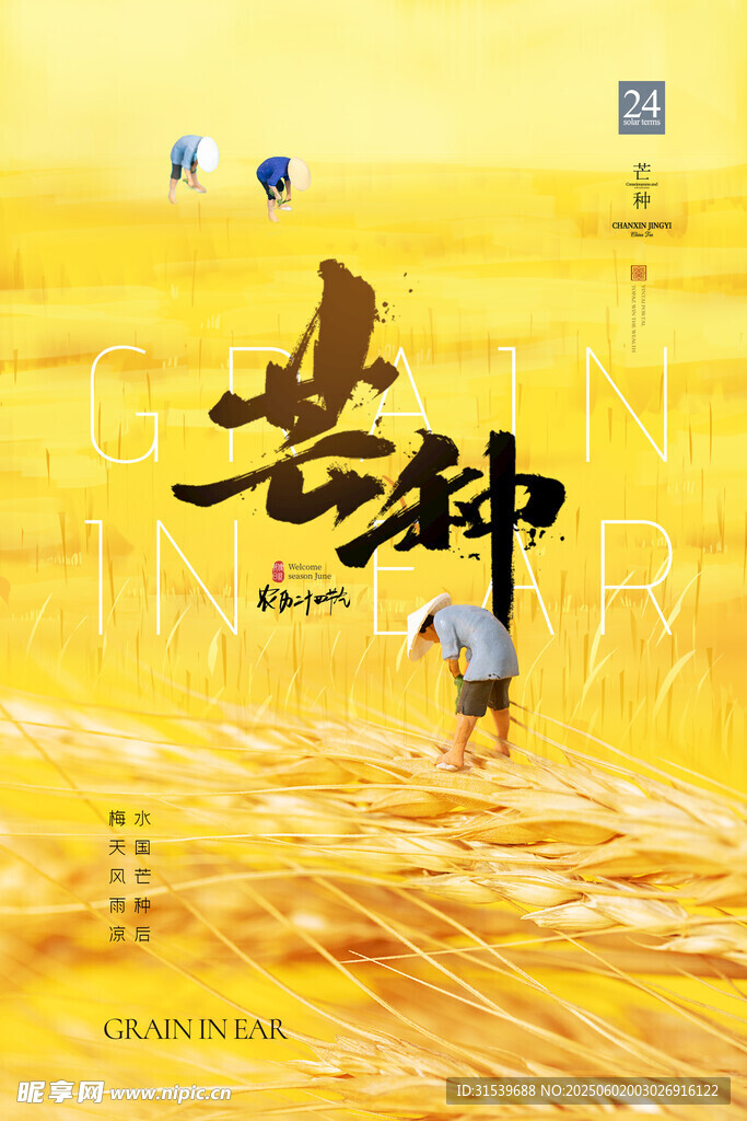简约农民丰收芒种节气海报