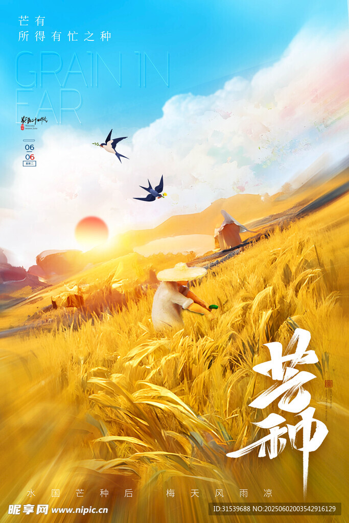麦田插画芒种节气海报