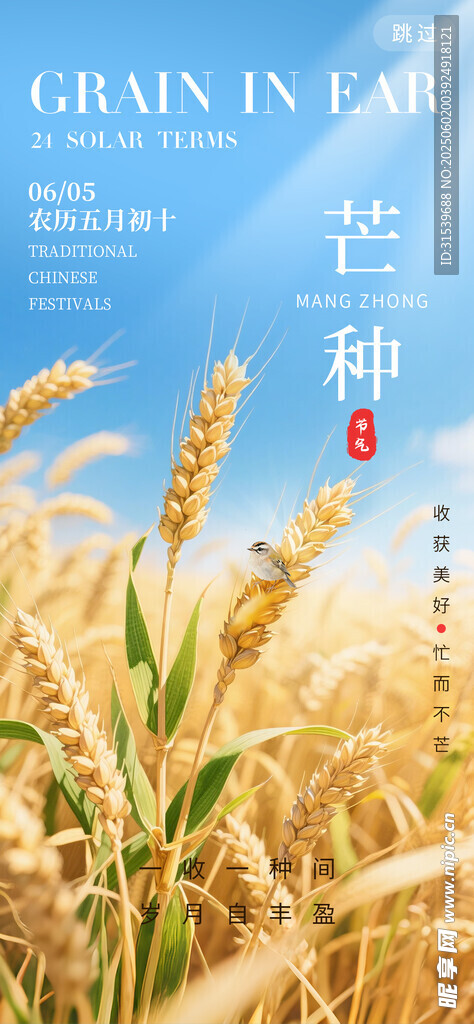 芒种二十四节气光芒创意海报