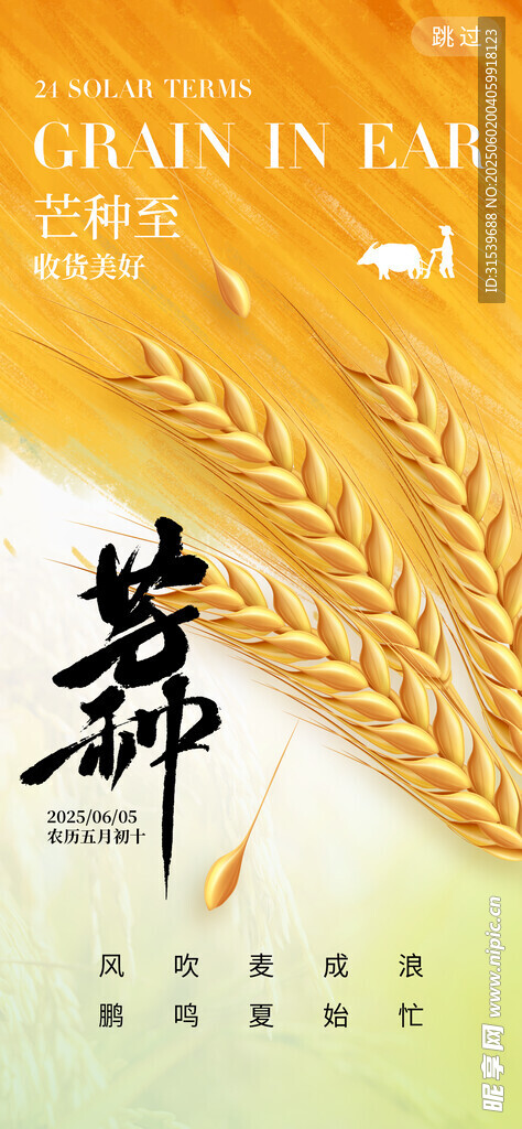 芒种二十四节气农忙小麦简约海报