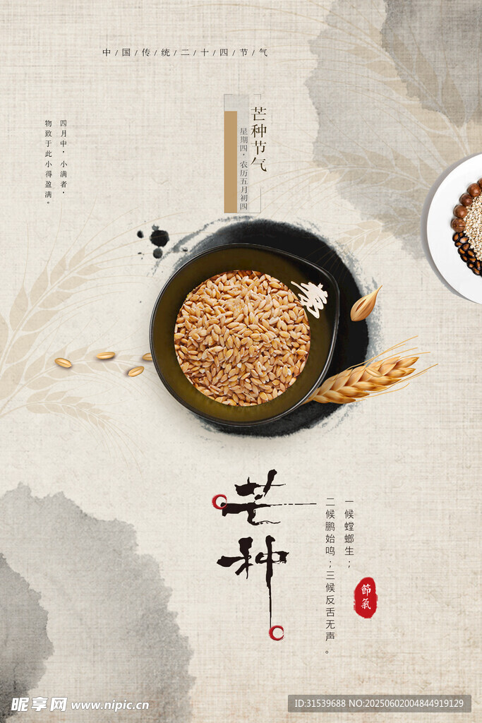 中国风简约芒种节气海报