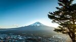 富士山美景与前景松树