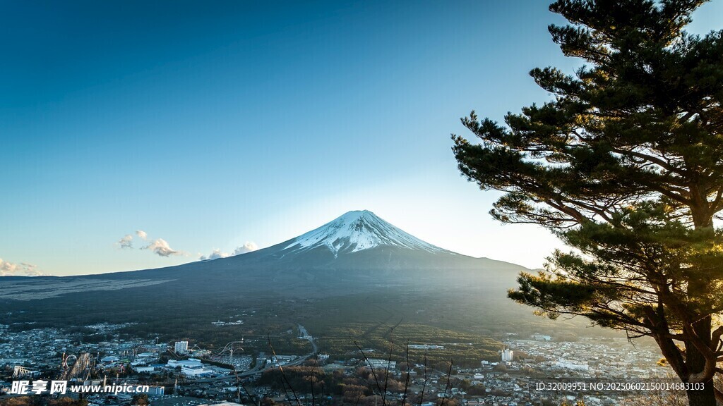 富士山美景与前景松树