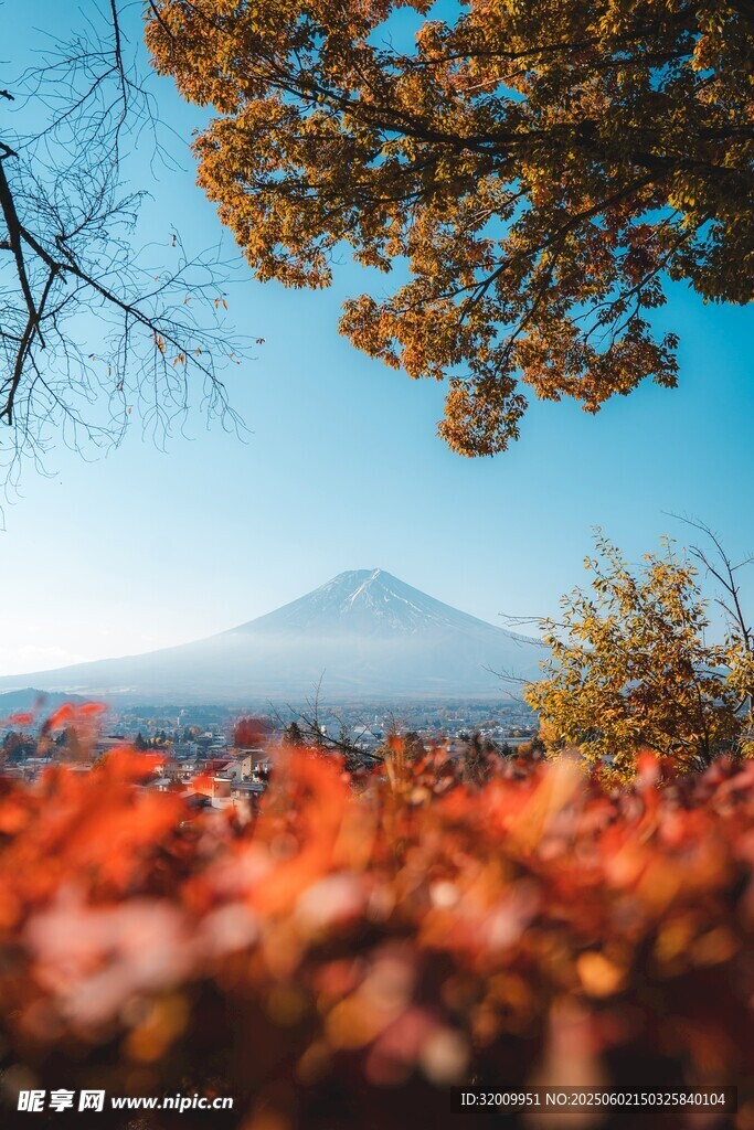 秋日红叶映衬下的富士山