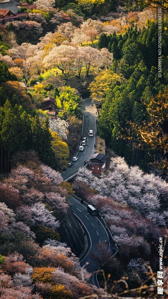 秋日山林斑斓景致
